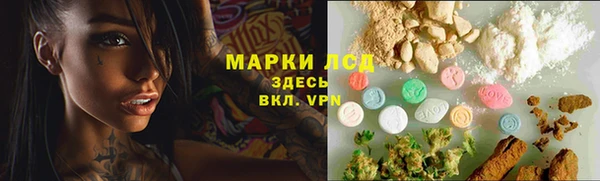 стафф Алзамай