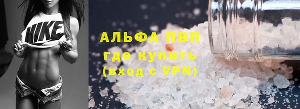 стафф Алзамай
